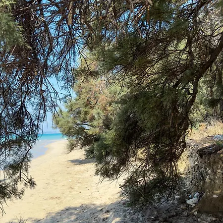 Dom wakacyjny Oasi Village Vacanze