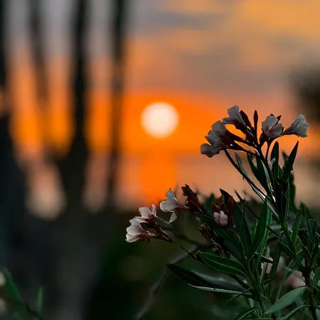Oasi Village Vacanze * Sciacca